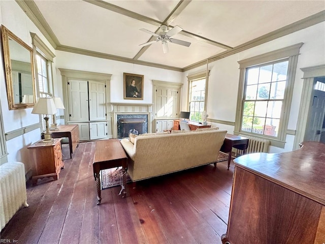 living room featuring a premium fireplace, radiator heating unit, a healthy amount of sunlight, and dark hardwood / wood-style floors