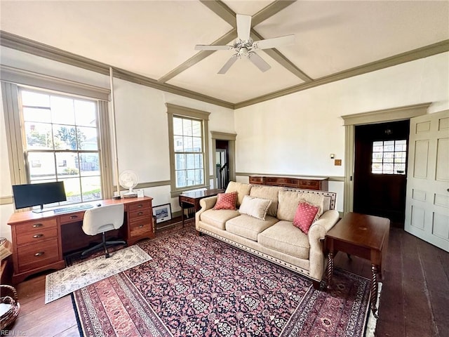 office space with dark hardwood / wood-style flooring, ceiling fan, and crown molding