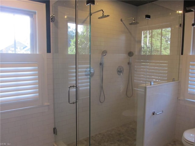 bathroom with a healthy amount of sunlight, toilet, and a shower with shower door