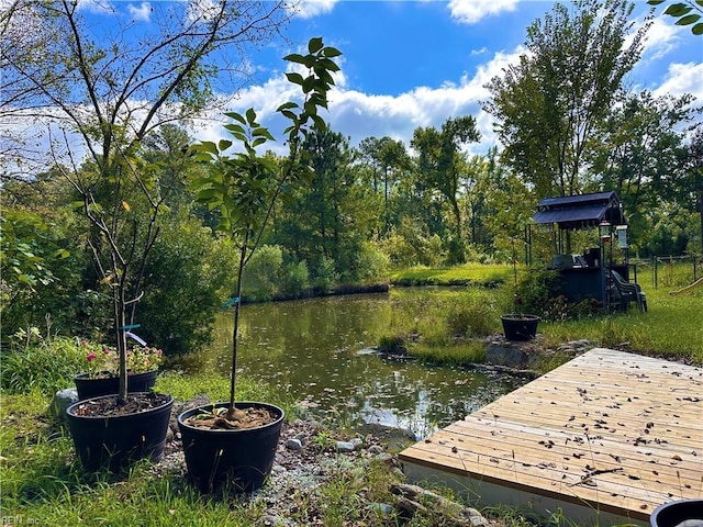 1057 W Rd, Chesapeake, VA 23323 - view of dock