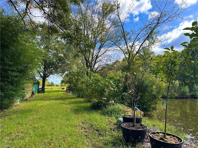 1057 W Rd, Chesapeake, VA 23323 - view of green lawn