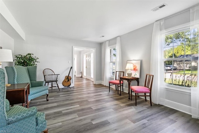 living area featuring wood-type flooring