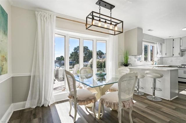 dining area with plenty of natural light and dark hardwood / wood-style flooring