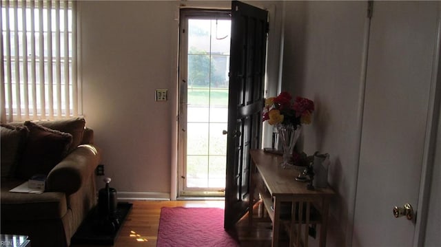 entryway with hardwood / wood-style flooring and a wealth of natural light