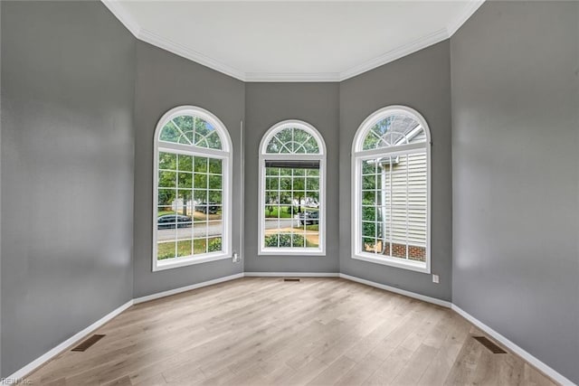 spare room featuring plenty of natural light and light hardwood / wood-style floors