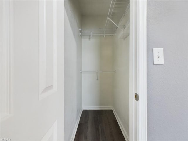 walk in closet with wood-type flooring