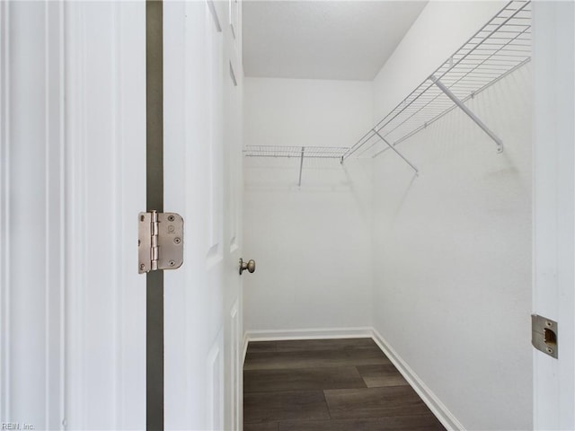 walk in closet with dark hardwood / wood-style floors