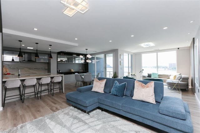 living room with light wood-type flooring