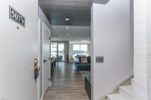 hallway with floor to ceiling windows and hardwood / wood-style floors