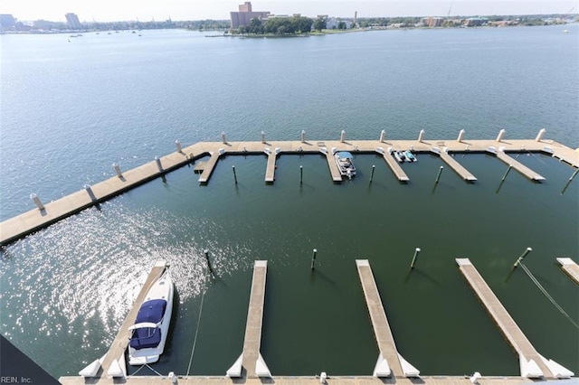 dock area with a water view