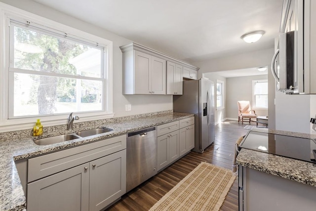 kitchen with a wealth of natural light, sink, stainless steel appliances, and dark hardwood / wood-style flooring