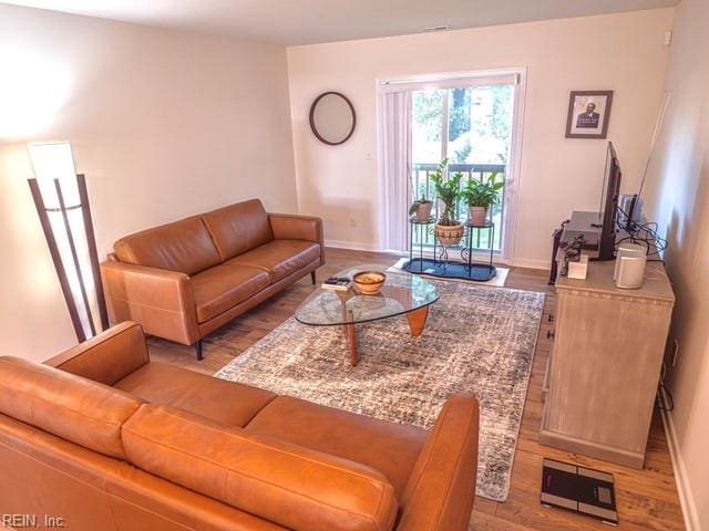 living room featuring light hardwood / wood-style floors