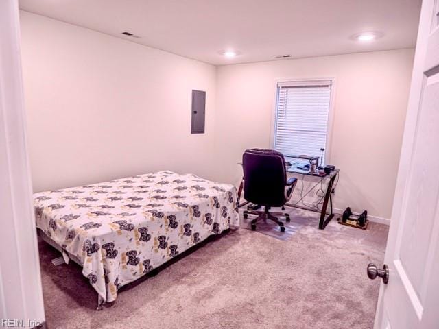 bedroom featuring electric panel and carpet flooring