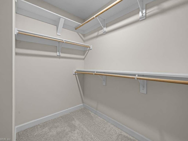 spacious closet featuring carpet flooring