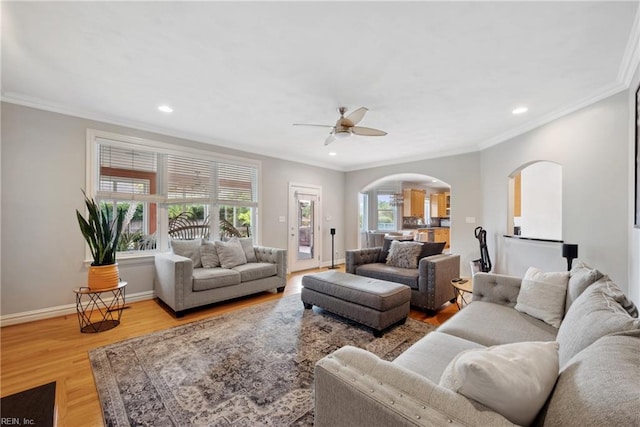 living room with ceiling fan, light wood-type flooring, and crown molding