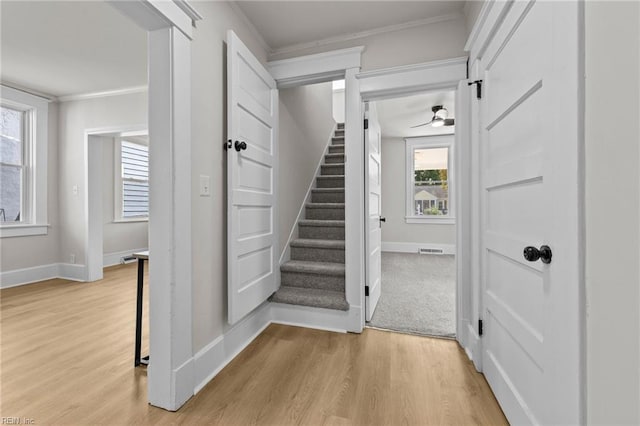 stairway featuring wood-type flooring, ornamental molding, and ceiling fan