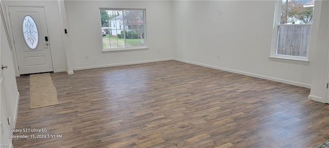 entryway featuring dark hardwood / wood-style floors