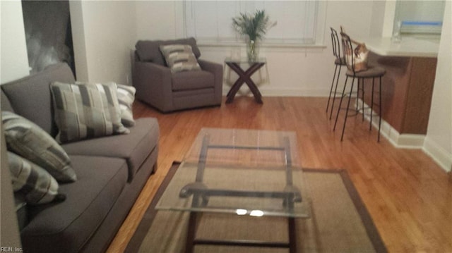 living room featuring wood-type flooring