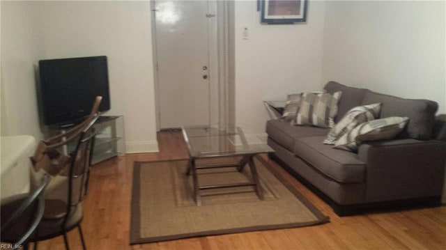 living room with hardwood / wood-style flooring