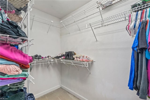 spacious closet featuring carpet floors