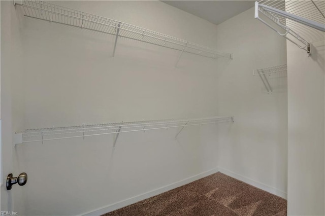 spacious closet featuring dark carpet