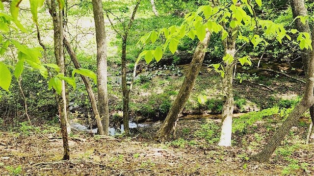 view of nature with a water view