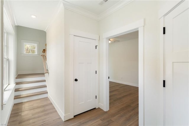 corridor featuring ornamental molding and hardwood / wood-style flooring