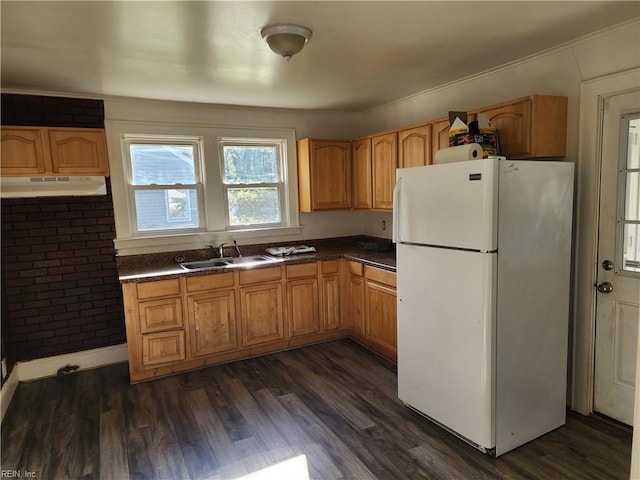 kitchen with white fridge, sink, and dark hardwood / wood-style floors