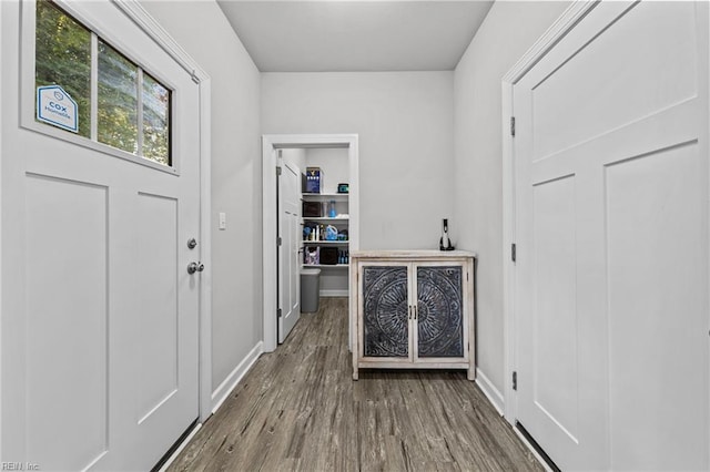 interior space featuring wood-type flooring