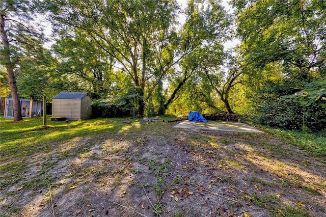 view of yard featuring a storage unit