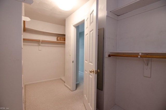 spacious closet featuring light carpet