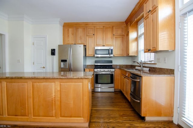 kitchen with dark hardwood / wood-style floors, stainless steel appliances, and a healthy amount of sunlight