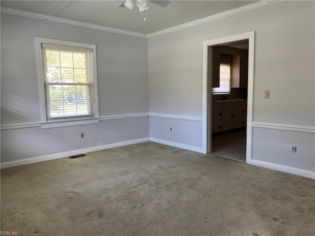 carpeted spare room with ceiling fan, ornamental molding, and sink