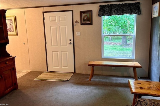 foyer entrance with carpet floors