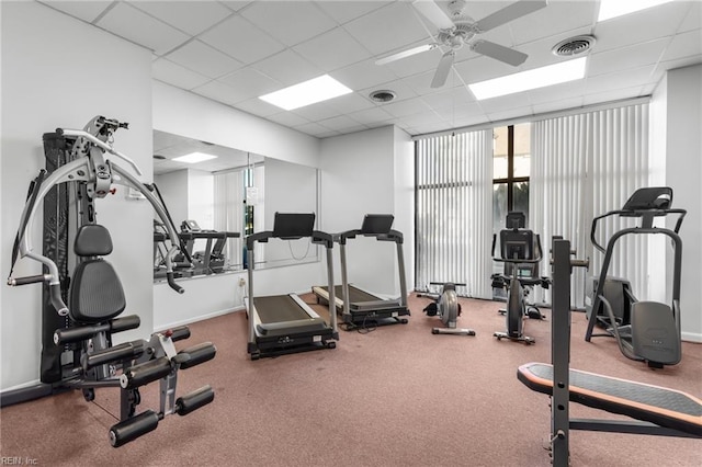 gym with a paneled ceiling, expansive windows, and ceiling fan