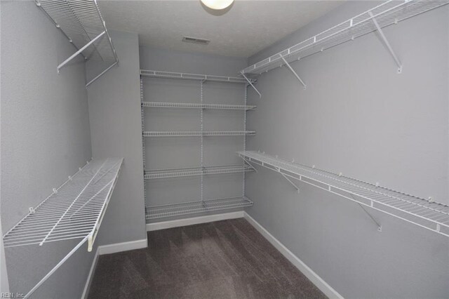 spacious closet with dark carpet