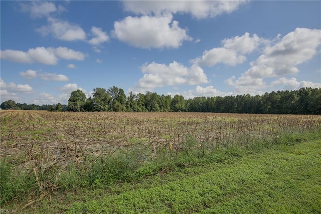 view of local wilderness featuring a rural view