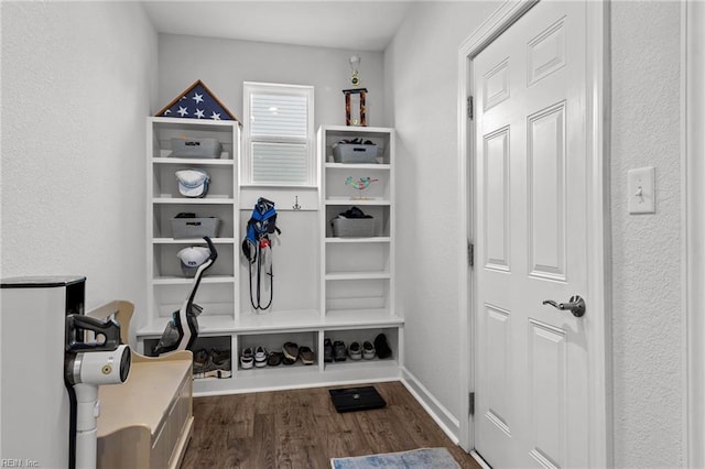 mudroom featuring dark hardwood / wood-style flooring