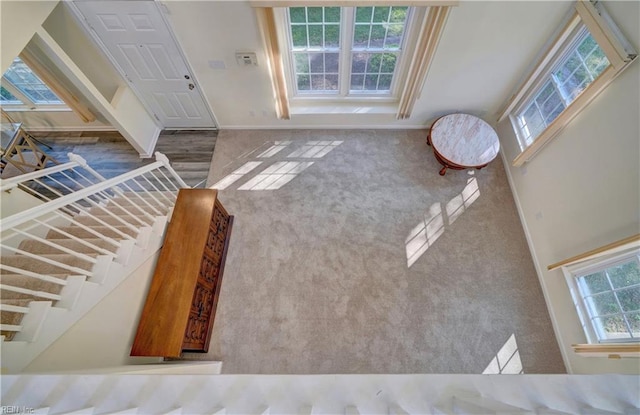 view of carpeted foyer entrance