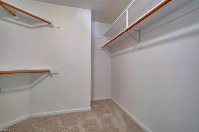 spacious closet featuring light colored carpet