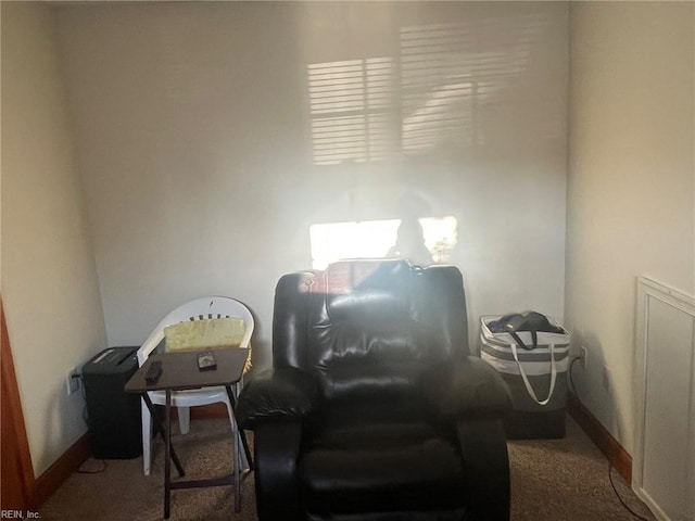 living area with dark colored carpet