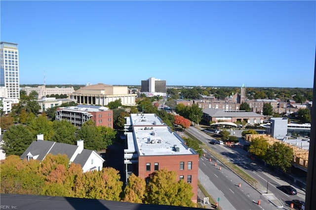 bird's eye view