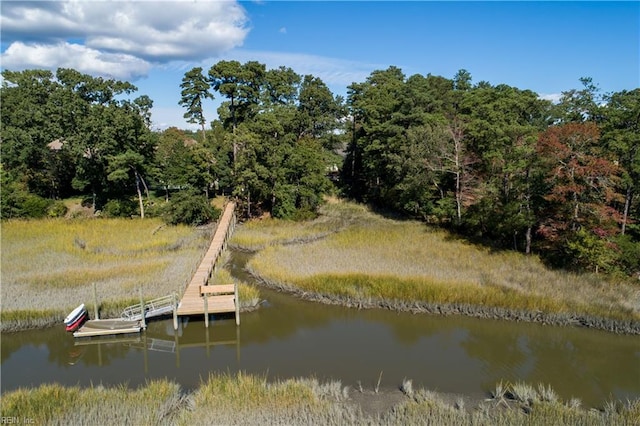 dock area with a water view