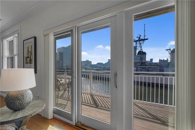 entryway featuring ornamental molding, a water view, and wood-type flooring