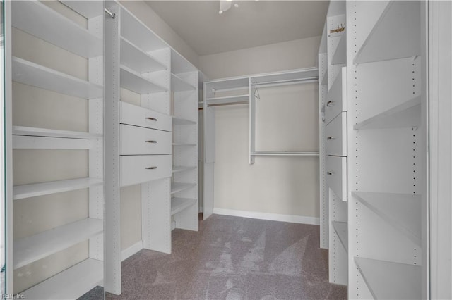 spacious closet with carpet flooring