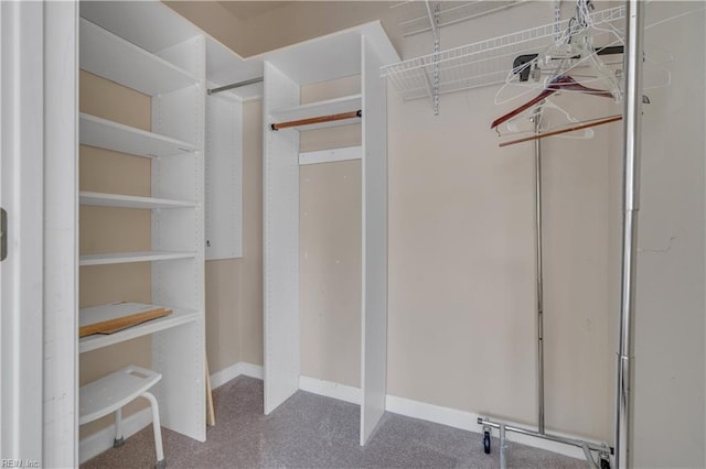 view of walk in closet