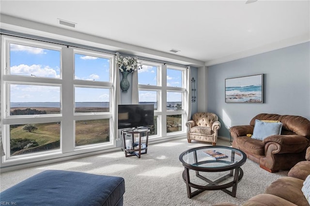 living room featuring light colored carpet