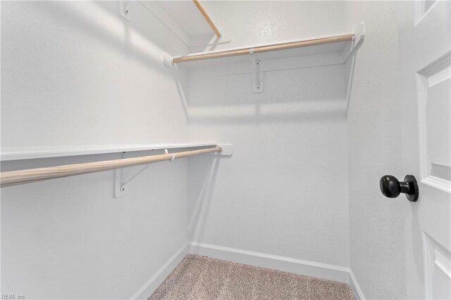 spacious closet featuring carpet flooring