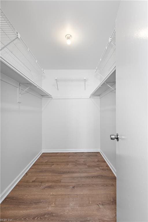 walk in closet with dark wood-type flooring