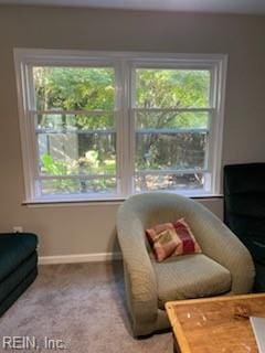 sitting room featuring plenty of natural light